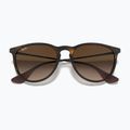 Occhiali da sole Ray-Ban Erika Classic matt havana/brown 3