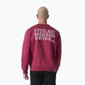 Felpa Everlast Neutrals Uomo a girocollo, bordeaux 3