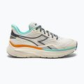 Scarpe da corsa da uomo Diadora Equipe Nucleo bianco/ grigio acciaio 11