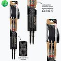 Bastoni da trekking  Fizan Compact MS black 6