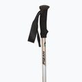 Bastoni da trekking  Fizan Trek Pro beige/black 2
