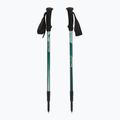 Bastoni da trekking  Fizan Trek Pro dark green 5