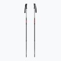 Bastoni da trekking  Fizan Explorer beige/red