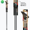 Bastoncini da Nordic walking Fizan Carbon Pro Impulse grey 6