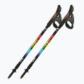Bastoncini da Nordic walking Fizan Speed Junior rainbow