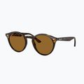 Occhiali da sole Ray-Ban RB2180 light havana/brown polarized 4