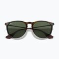 Occhiali da sole Ray-Ban Erika Classic light havana/green g-15 3
