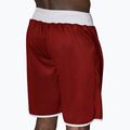 Pantaloncini da boxe double face LEONE 1947 uomo blu/rosso 5