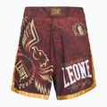 Pantaloncini MMA LEONE 1947 Legionarvis VI MMA bordeaux 5