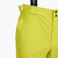 Pantaloni da sci da uomo Fischer Premier fischer giallo 8
