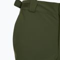 Pantaloni da sci da uomo Fischer Premier rifle verde 10