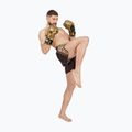 Guantoni da boxe LEONE 1947 Haka black/gold 10