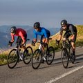 Maglia ciclismo uomo Alé Web rosso 11