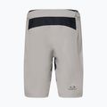 Pantaloncini da ciclismo Oakley Free Ride da uomo in cemento foderato 2