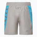 Pantaloncini Oakley Training Sidepanel da uomo in cemento 2
