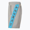 Pantaloncini Oakley Training Sidepanel da uomo in cemento 3