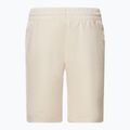 Pantaloncini Oakley da uomo Canyon View new granite heather 2
