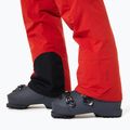 Pantaloni da sci uomo Oakley Canopy Pro Insulated flame red/rosewood 6