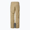 Pantaloni da sci uomo Oakley Sub Temp RC Gore-Tex 2.0 pebble 8