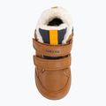 Geox Elthan tabacco/navy scarpe da bambino 6
