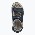 Geox Borealis, sandali junior blu oceano/oro 13