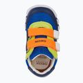 Geox Iupidoo royal / arancione scarpe da bambino 12