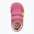 Geox Iupidoo rosa / giallo scarpe da bambino 12