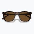 Occhiali da sole Ray-Ban RB2210 havana/brown polarized 3