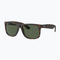 Occhiali da sole Ray-Ban Justin Classic havana/dark green polarized 4