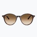 Occhiali da sole Ray-Ban Bernard havana/brown gradient 2