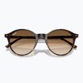 Occhiali da sole Ray-Ban Bernard havana/brown gradient 3