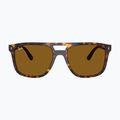 Occhiali da sole Ray-Ban RB2213 havana/brown b-15 2