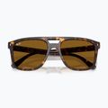 Occhiali da sole Ray-Ban RB2213 havana/brown b-15 3