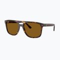 Occhiali da sole Ray-Ban RB2213 havana/brown b-15 4