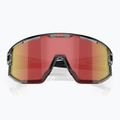 Occhiali da sole Bliz Vision transparent dark grey/brown red multi 3