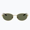 Occhiali da sole Ray-Ban RB3774D arista gold/dark green polarized 2