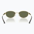Occhiali da sole Ray-Ban RB3774D arista gold/dark green polarized 5