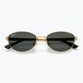 Occhiali da sole Ray-Ban RB3774D arista gold/dark grey 3