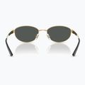 Occhiali da sole Ray-Ban RB3774D arista gold/dark grey 5