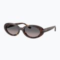 Occhiali da sole Ray-Ban RB2223 havana/gradient grey 4