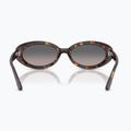 Occhiali da sole Ray-Ban RB2223 havana/gradient grey 5
