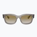Occhiali da sole Ray-Ban RB2228M Scuderia transparent grey/brown mirror gold 2
