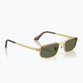 Occhiali da sole Ray-Ban RB3927 By A$Ap Rocky