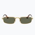 Occhiali da sole Ray-Ban RB3927 By A$Ap Rocky 2