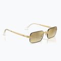 Occhiali da sole Ray-Ban RB3928 By A$Ap Rocky arista gold/brown gold