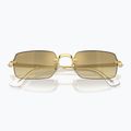 Occhiali da sole Ray-Ban RB3928 By A$Ap Rocky arista gold/brown gold 3