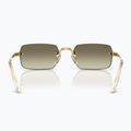 Occhiali da sole Ray-Ban RB3928 By A$Ap Rocky arista gold/brown gold 5