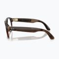 Occhiali con telecamera Ray-Ban Meta Aviator transp. umber/trs jade 5