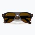 Occhiali con telecamera Ray-Ban Meta Aviator transp. umber/trs jade 9