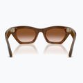 Occhiali con telecamera Ray-Ban Meta Zena havana/gradient brown 3
